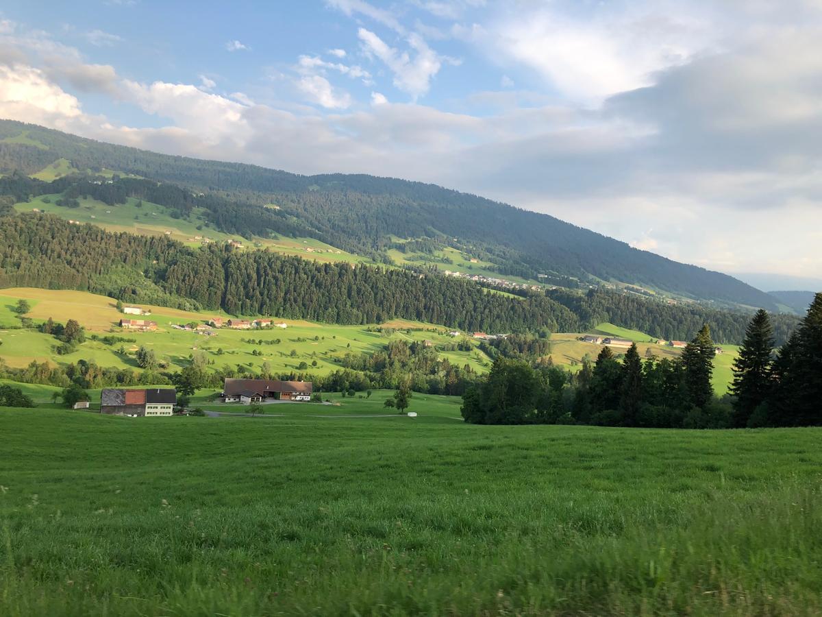 Allgau Landhotel Oberreute Eksteriør billede